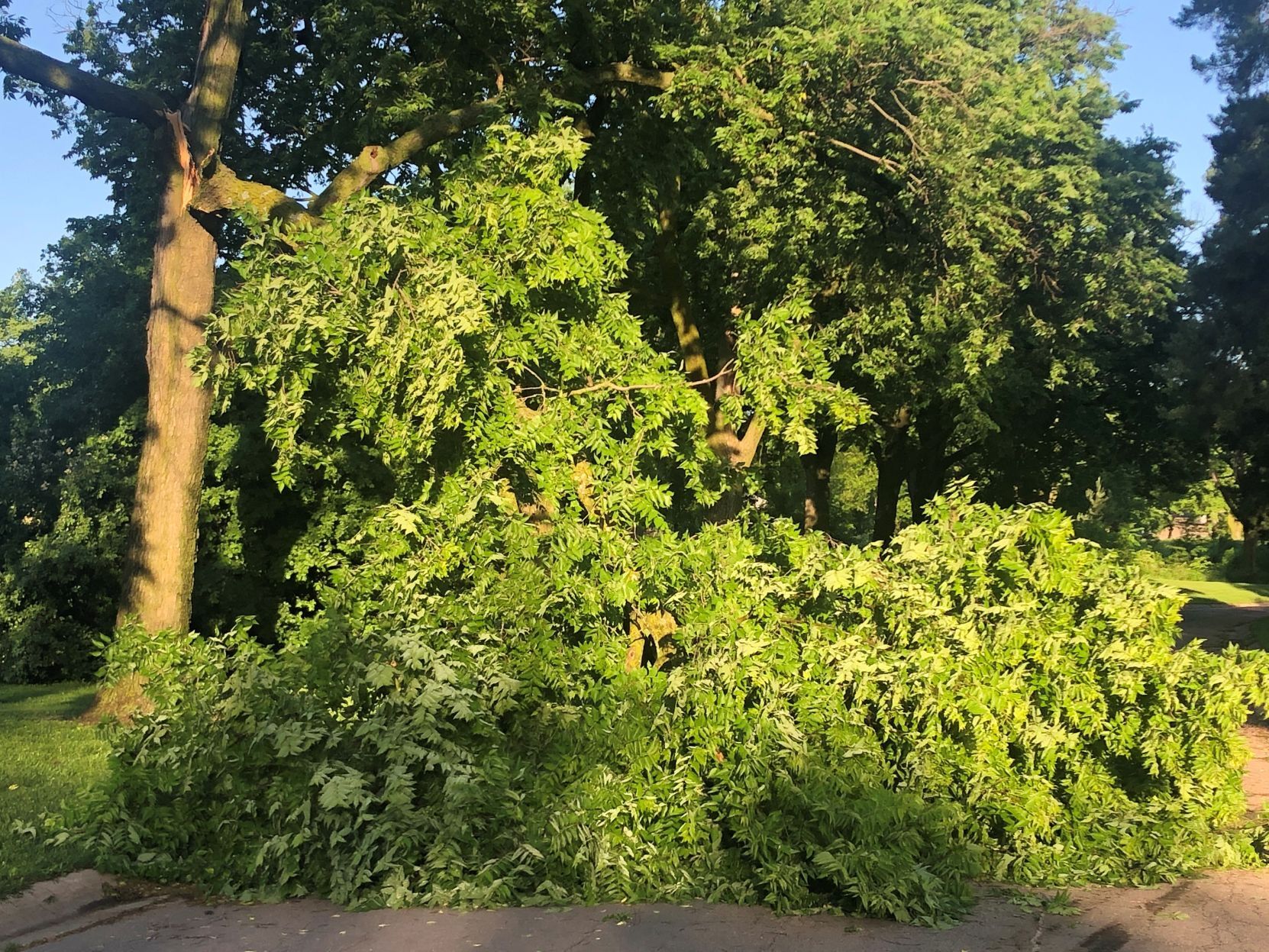 Storm damage